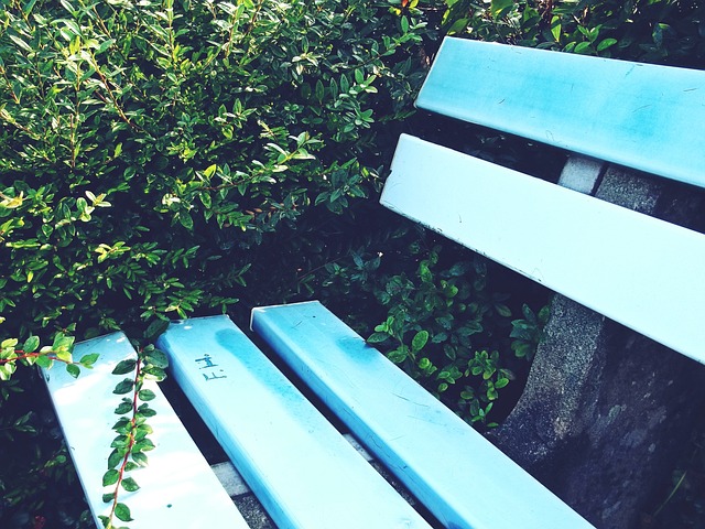 越南U21女排一球员性别不合规，队伍参赛资格被取消，四场比赛全部判负